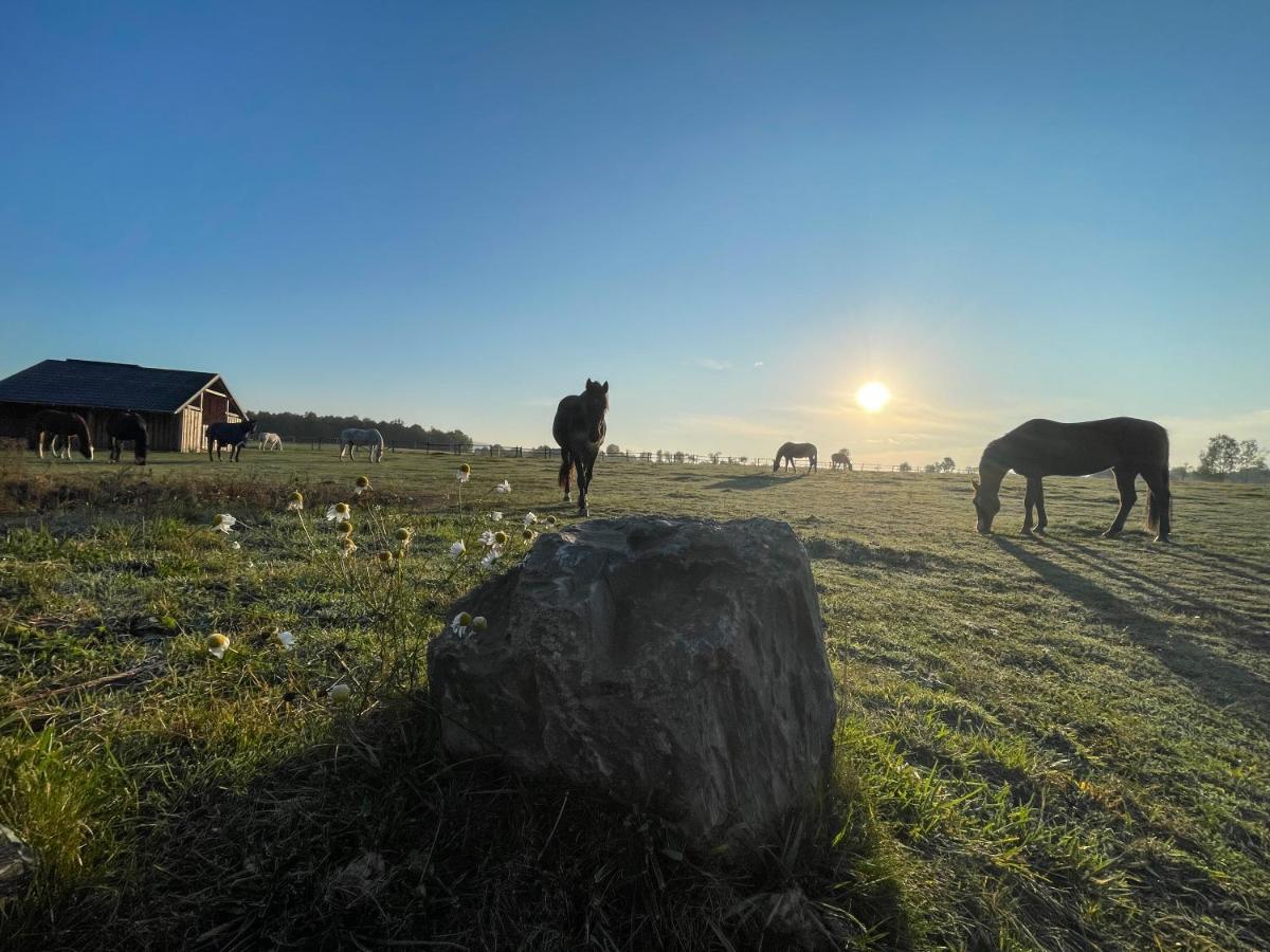 Dum Splnenych Prani Villa Praslavice Kültér fotó