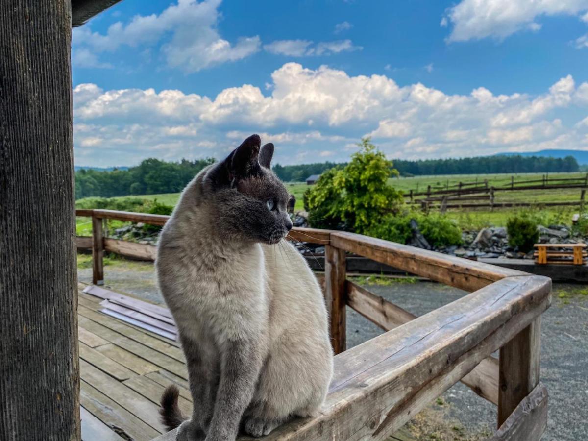 Dum Splnenych Prani Villa Praslavice Kültér fotó